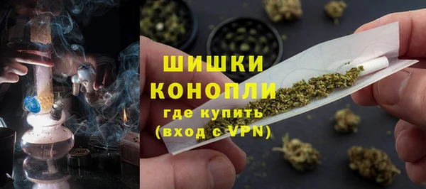 крисы Осташков