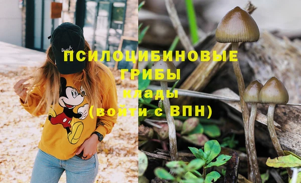 мдма Грязи