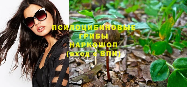 тгк Осинники