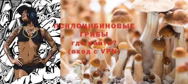 каннабис Губаха