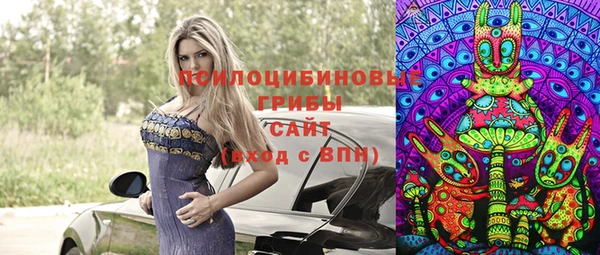 крисы Осташков